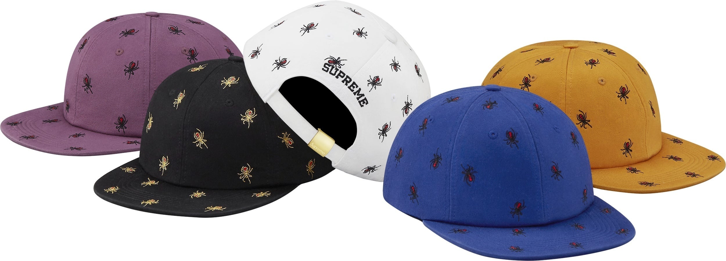 Embroidered Spiders 6-Panel